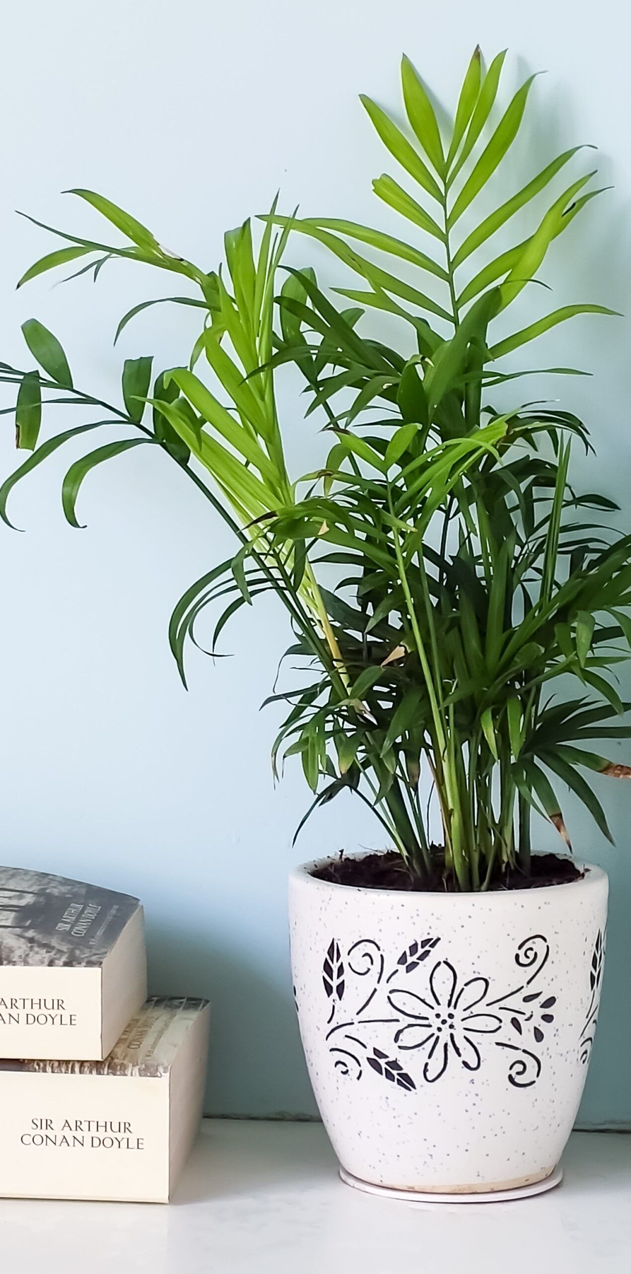 610642d1c654ef8a3.20188560