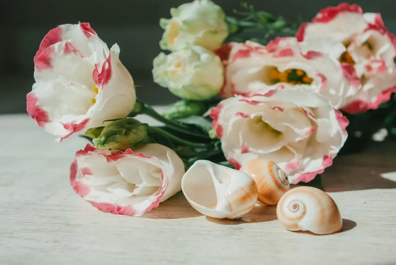 how to make flowers out of tissue paper
