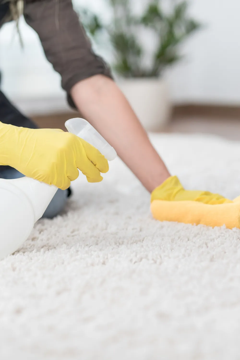 How to Remove Ink from Carpet (Step-by-Step Guide) how to remove ink from carpet