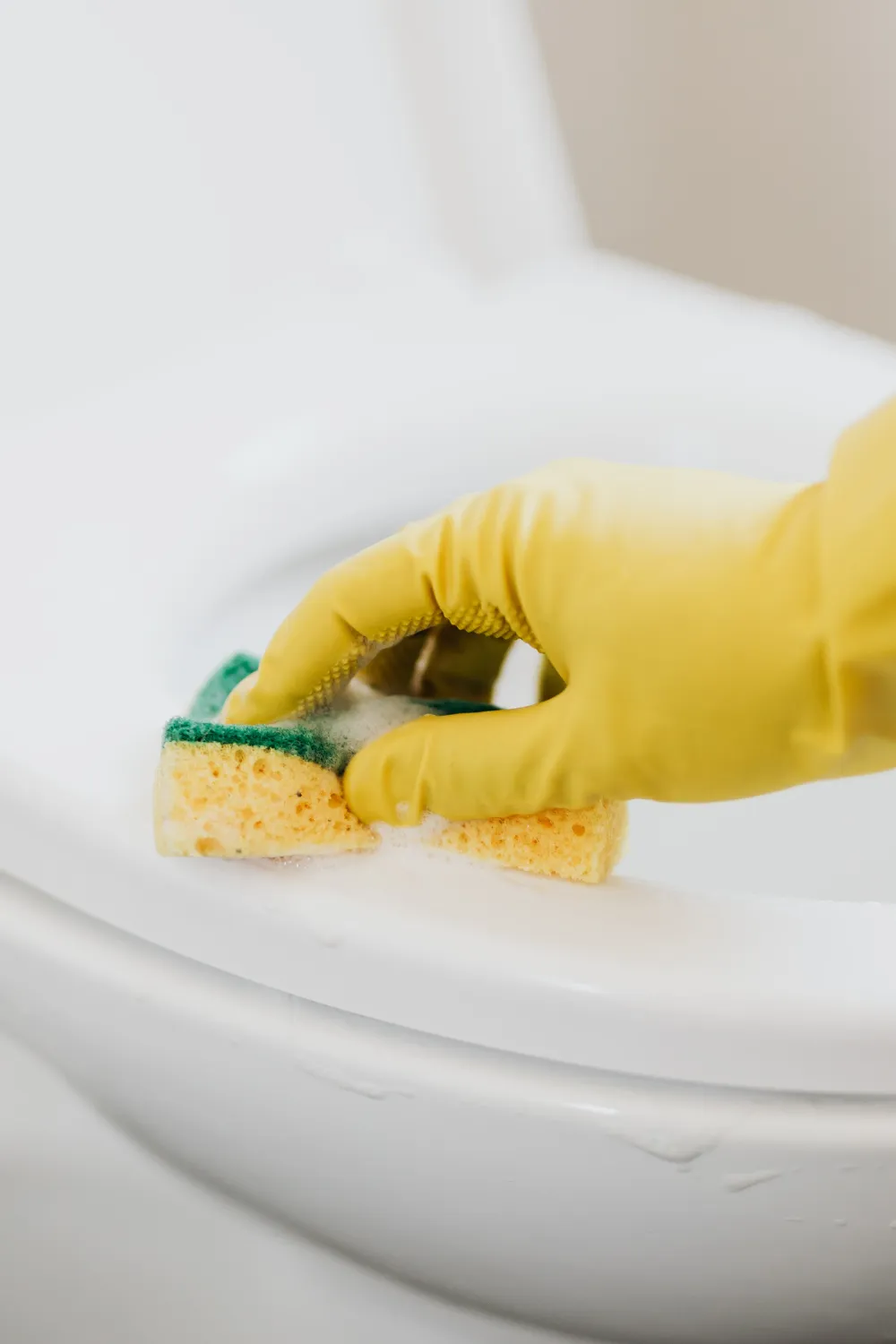How to Remove Stubborn Toilet Bowl Stains (Step-by-Step Guide) how to remove stubborn toilet bowl stains
