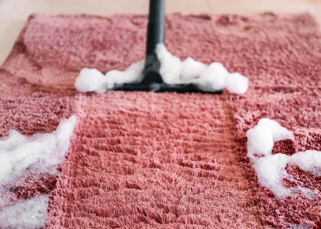 7 ways to clean dog vomit from carpet