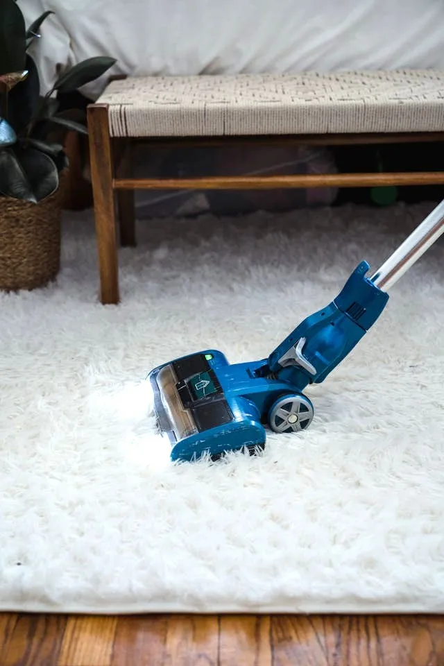 how to get mildew smell out of carpet