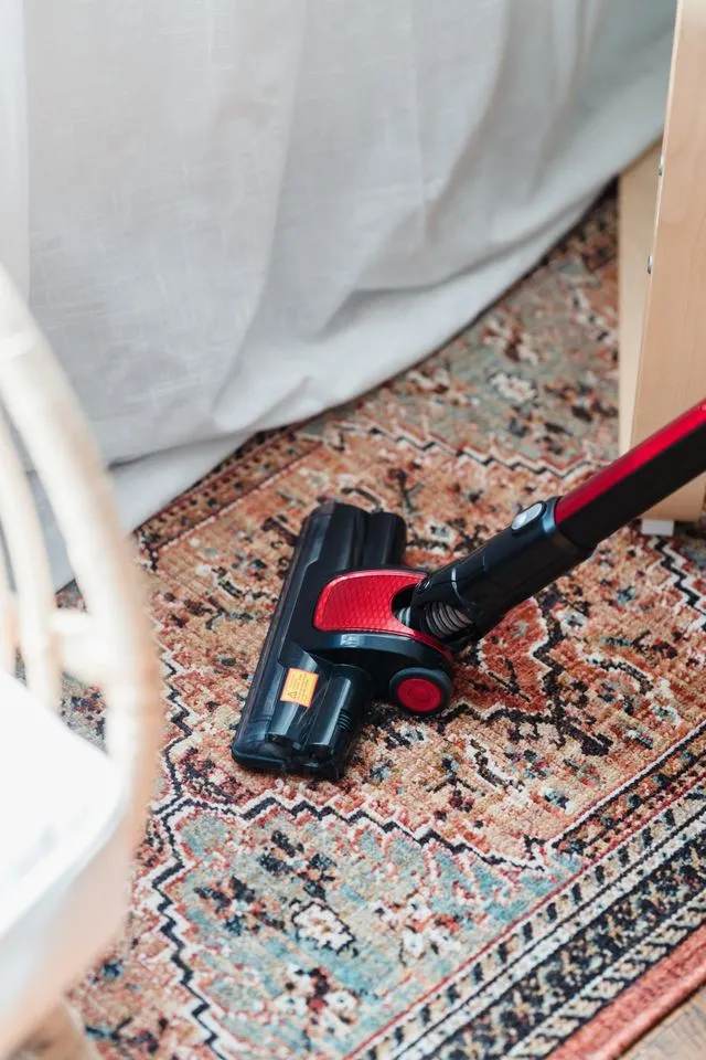 5 ways to get cat pee out of carpet