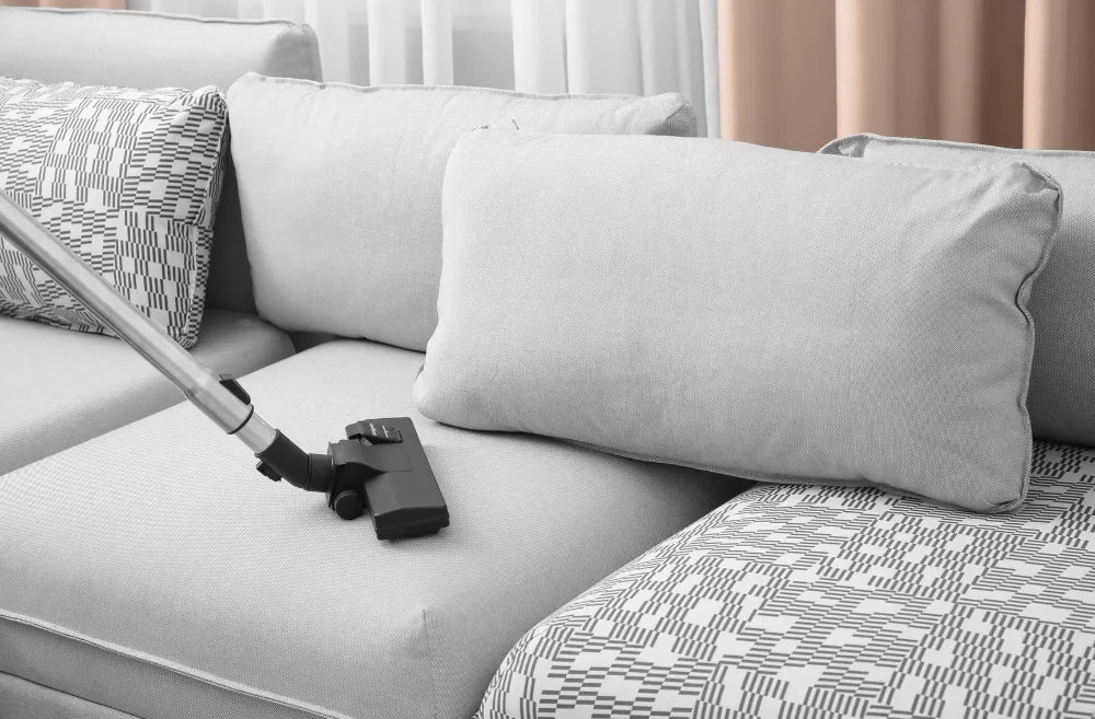 6 ways to get dog urine smell out of a couch