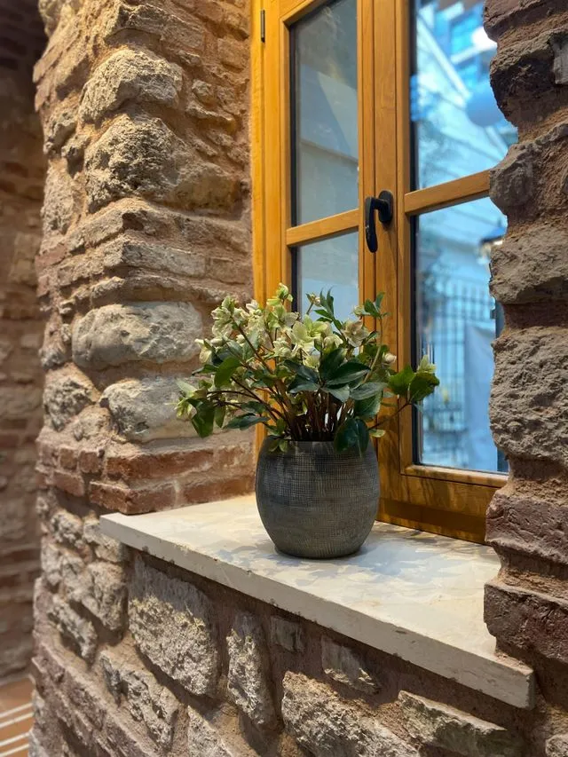 how to remove mold from a window sill