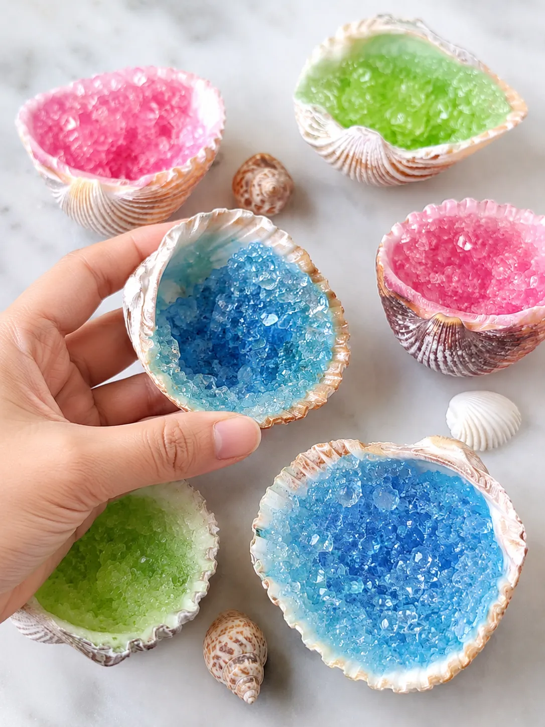 diy borax crystal seashells